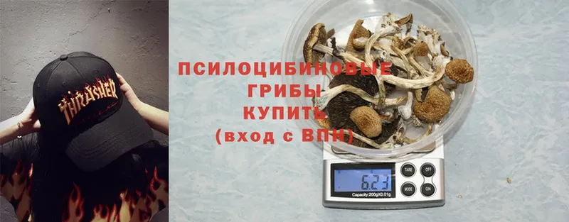 Псилоцибиновые грибы MAGIC MUSHROOMS  Барнаул 