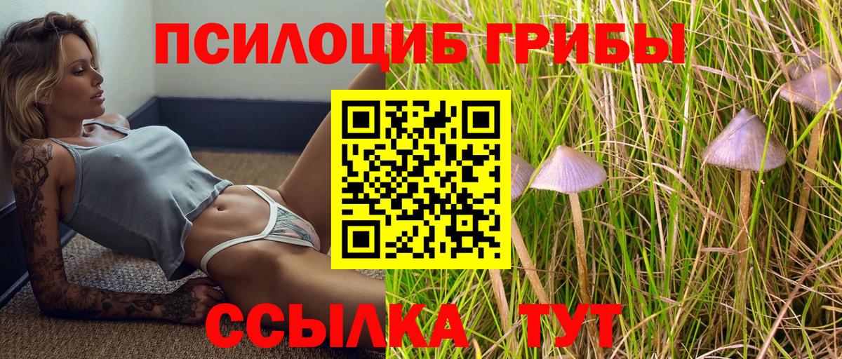 Галлюциногенные грибы MAGIC MUSHROOMS  Вход с VPN  где можно купить наркотик  Барнаул 