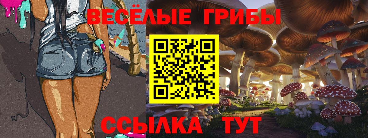 Лсд 25 Барнаул
